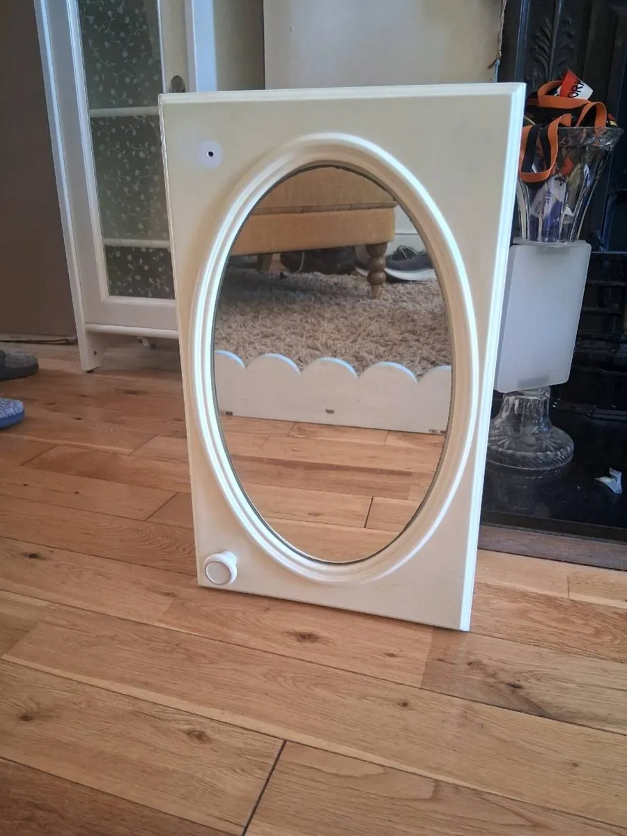 Free wooden mirror cabinet - Image 1
