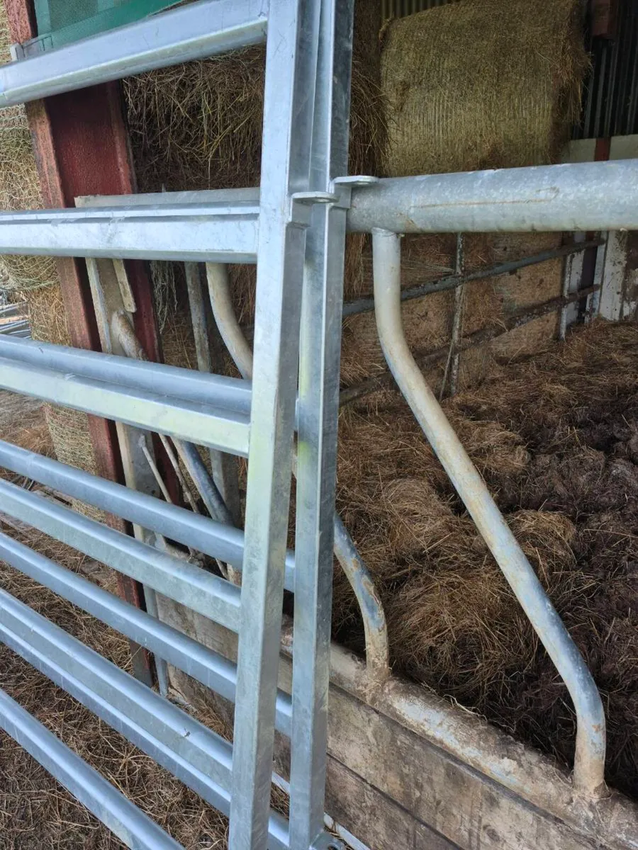 Clipex cattle hurdles x 5 - Image 3
