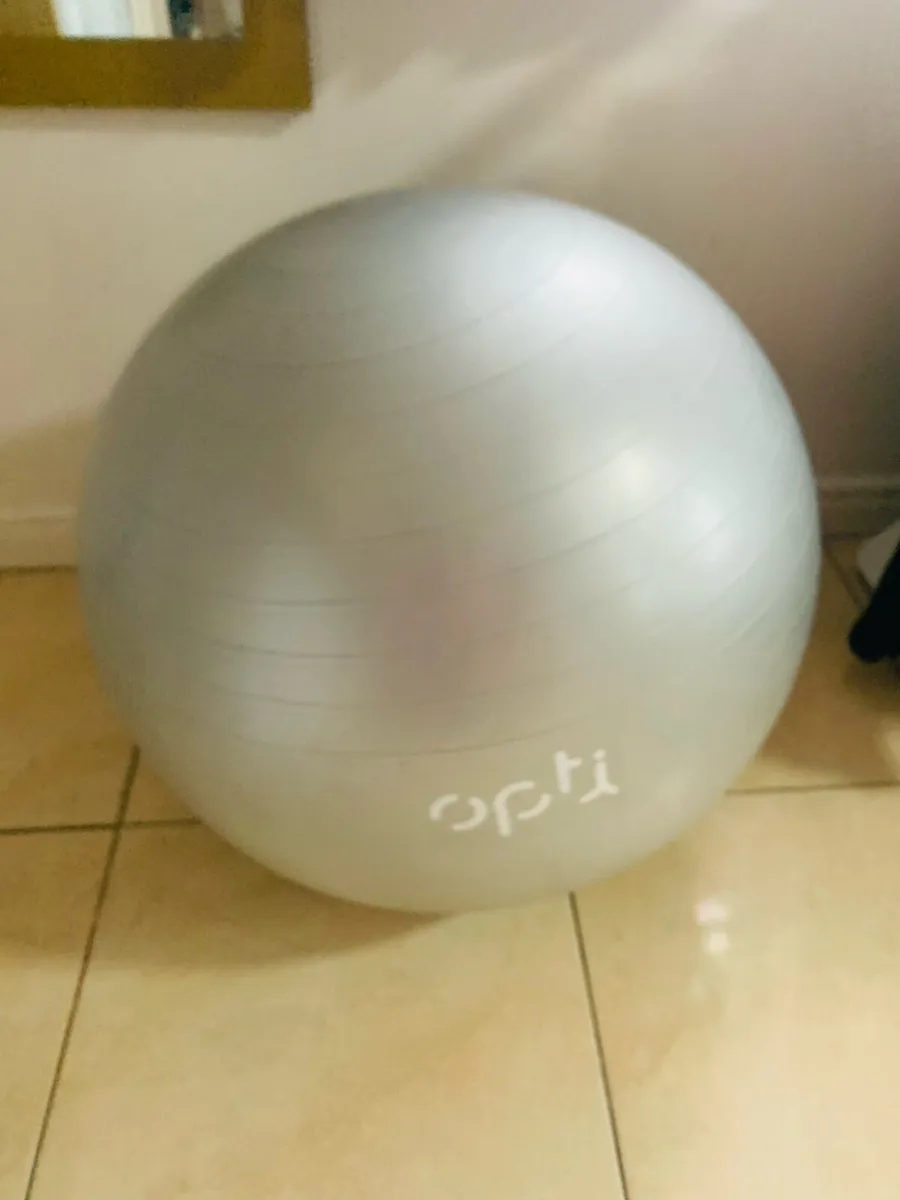 Birthing/gym ball - Image 1