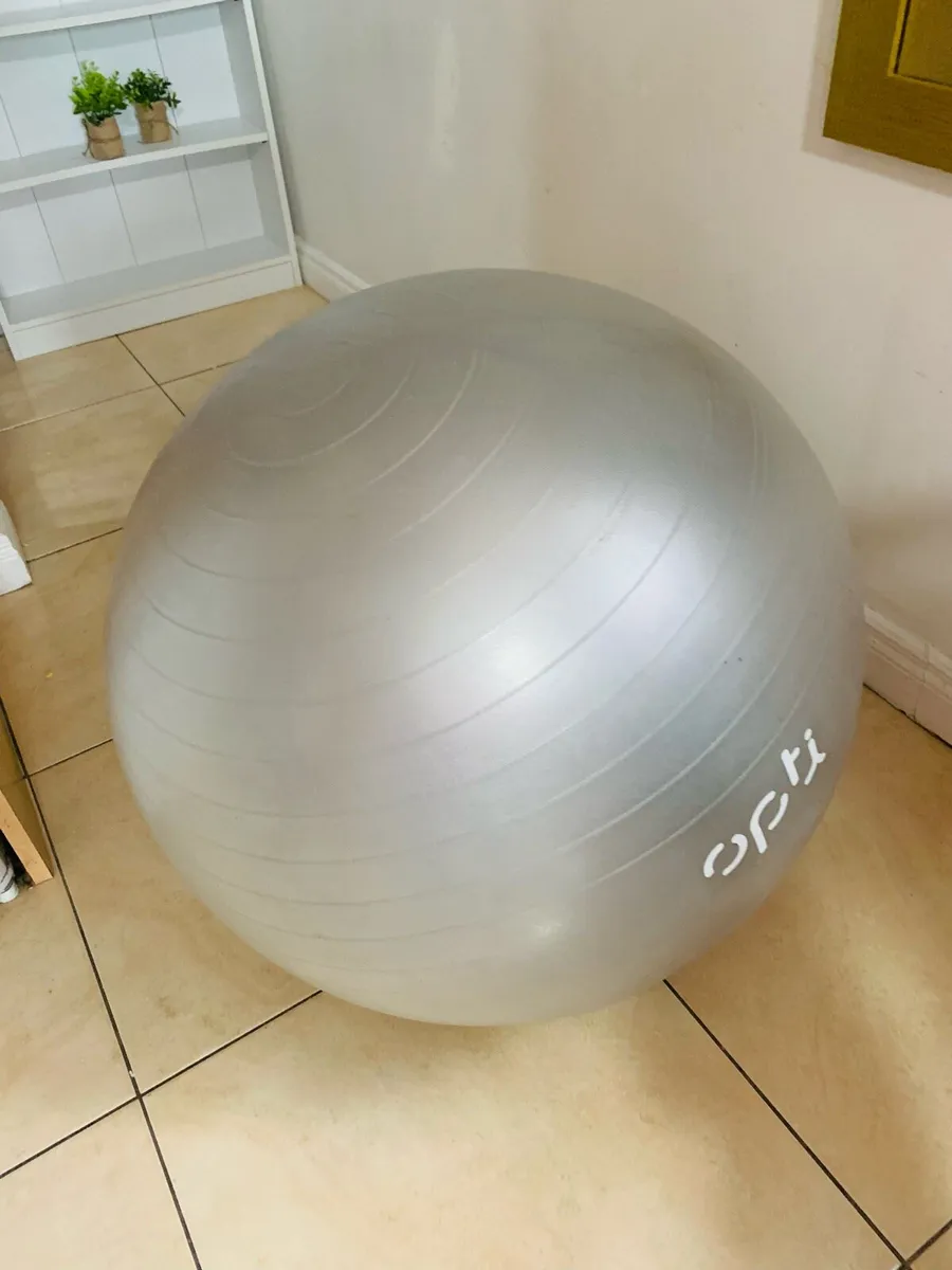 Birthing/gym ball - Image 2