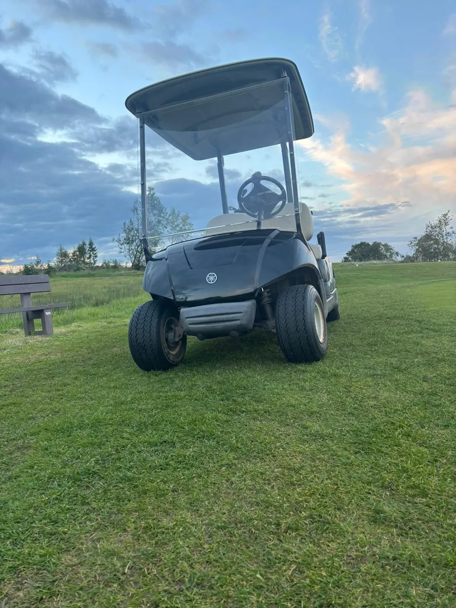 Golf buggy with rain cover - Image 4