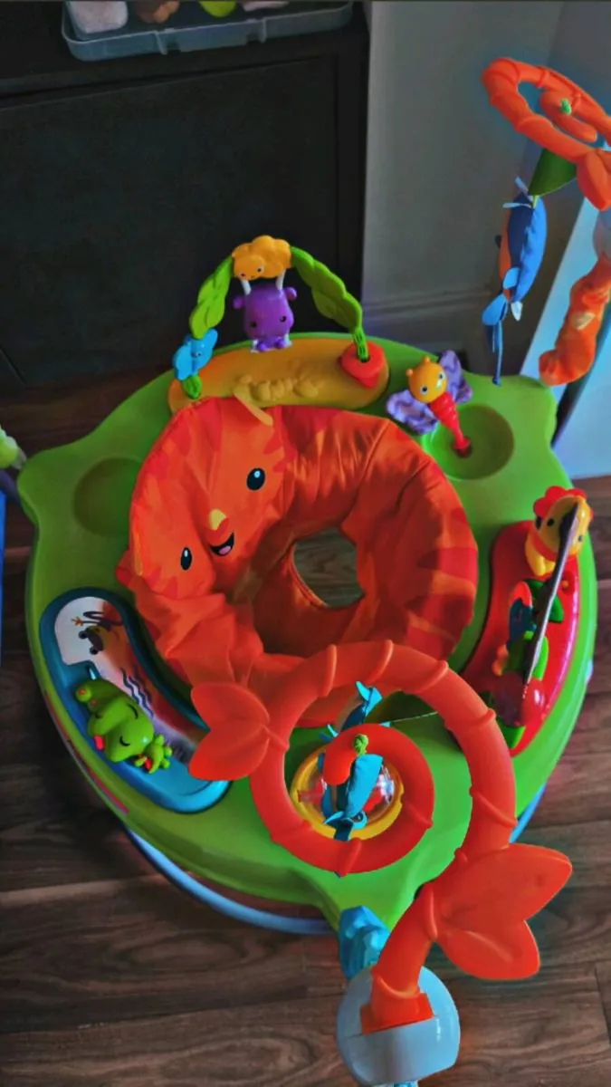 Rainforest jumperoo - Image 1