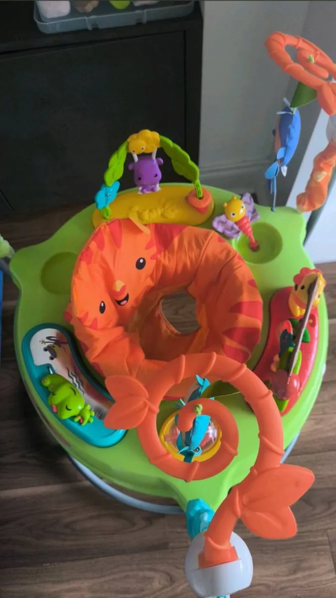 Rainforest jumperoo - Image 2