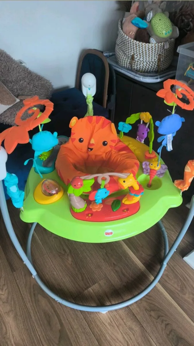 Rainforest jumperoo - Image 3