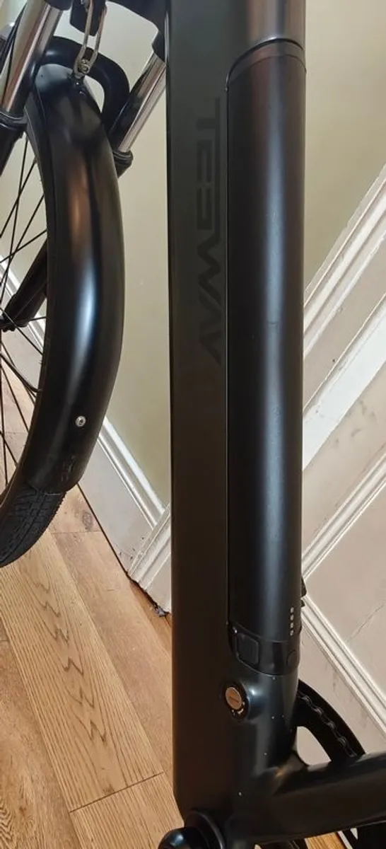 Electric Bike - Image 2