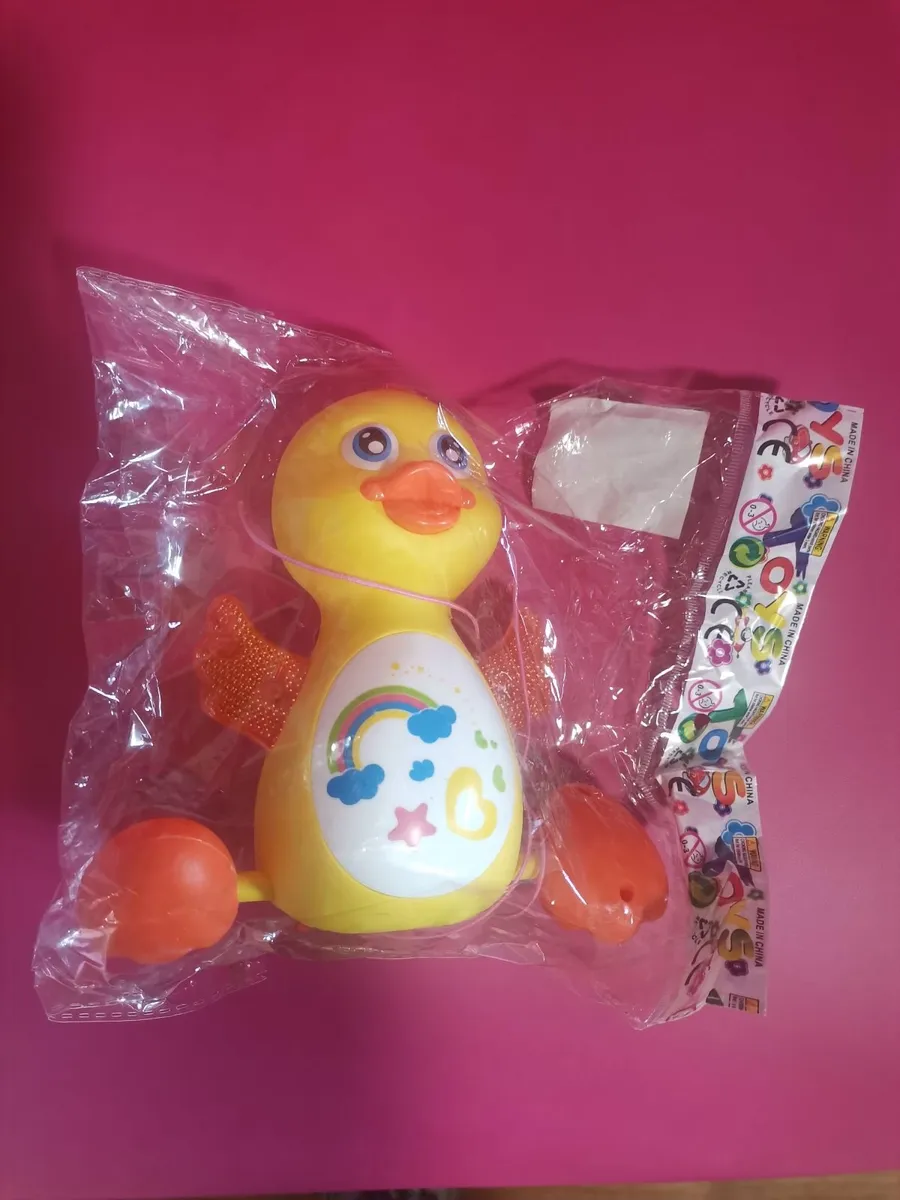 Duck toy