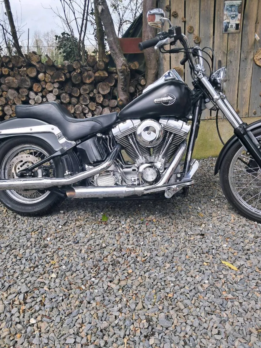 Harley-Davidson softail - Image 1