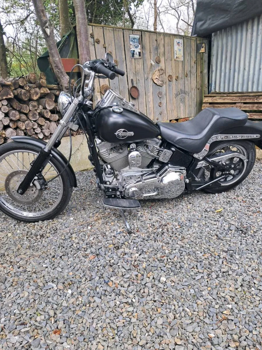 Harley-Davidson softail - Image 4