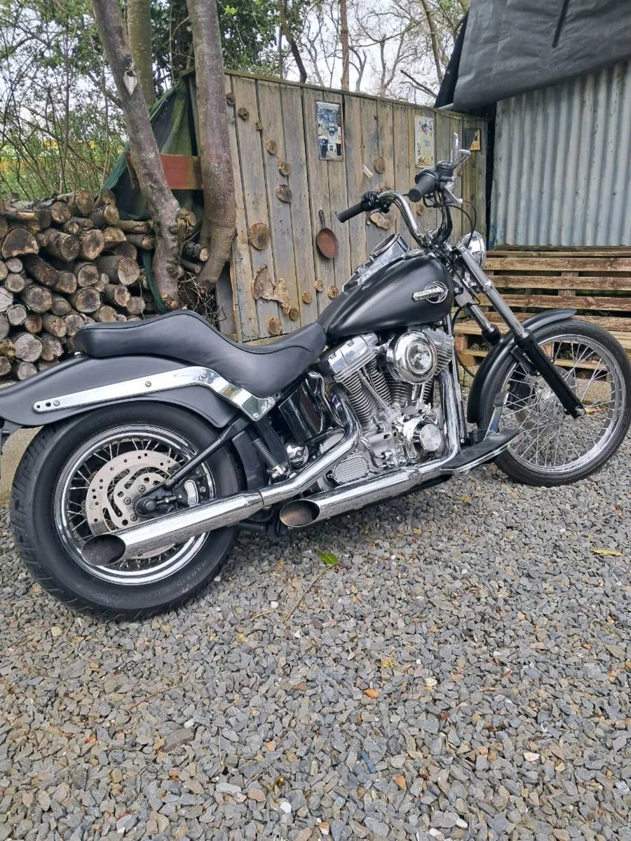Harley-Davidson softail - Image 2
