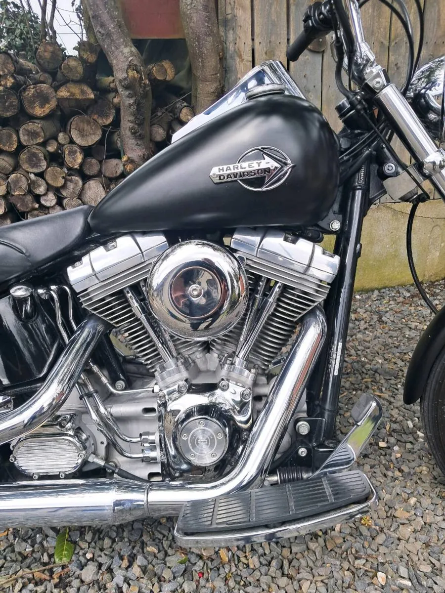 Harley-Davidson softail - Image 3