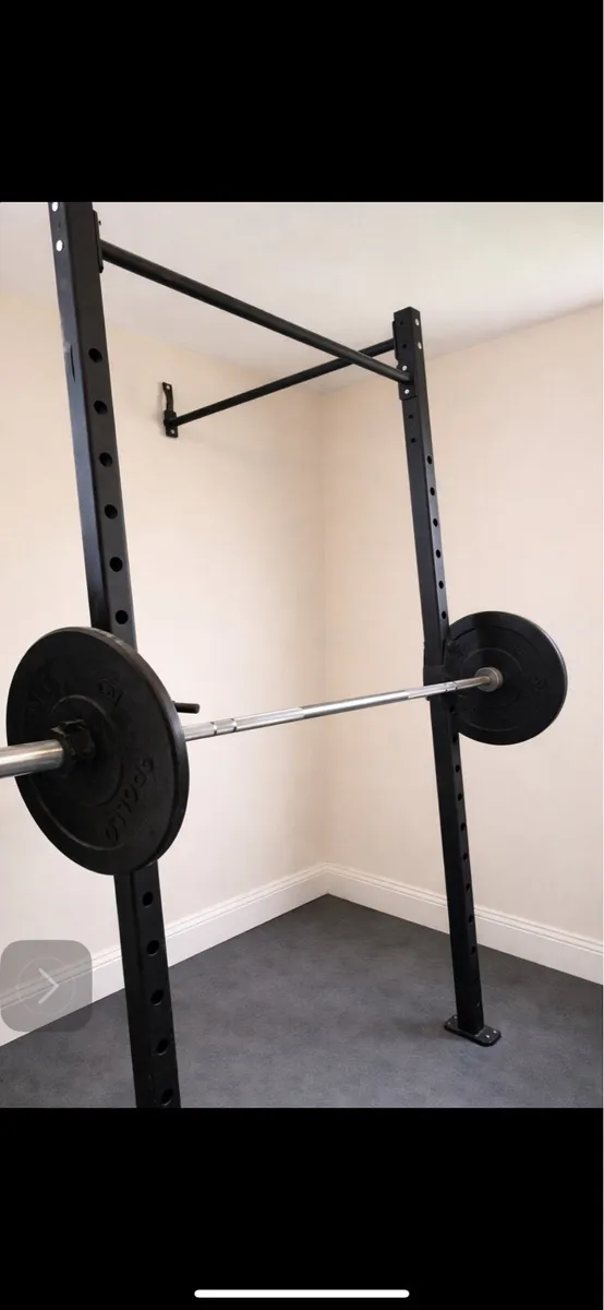 Apollo Gym Weight Rig and Weights - Image 1