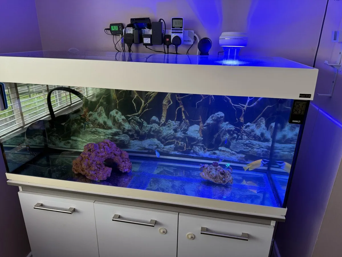 Marina aquarium 250L - Image 1