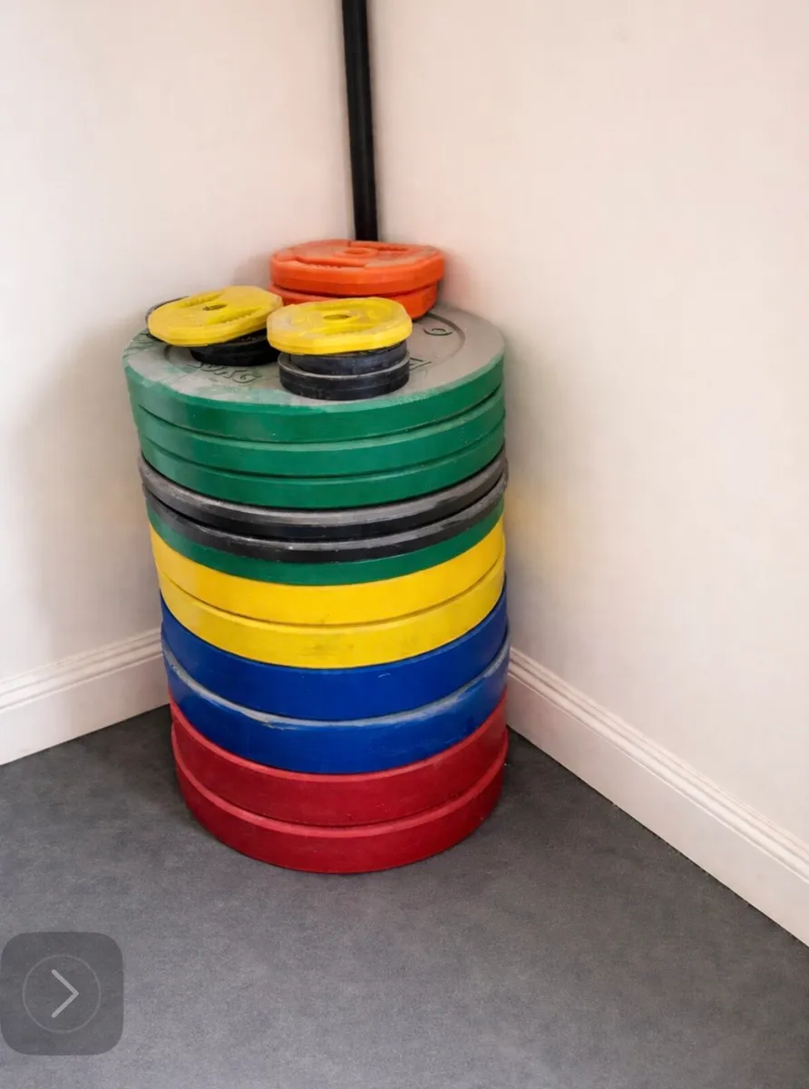 Apollo Gym Weight Rig and Weights - Image 2