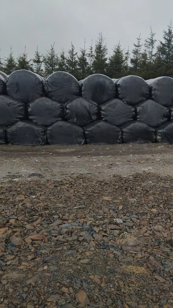 Silage Bales - Image 1