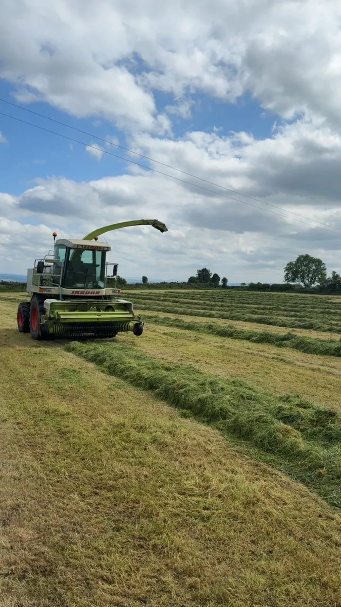 Claas jaguar 860 - Image 3