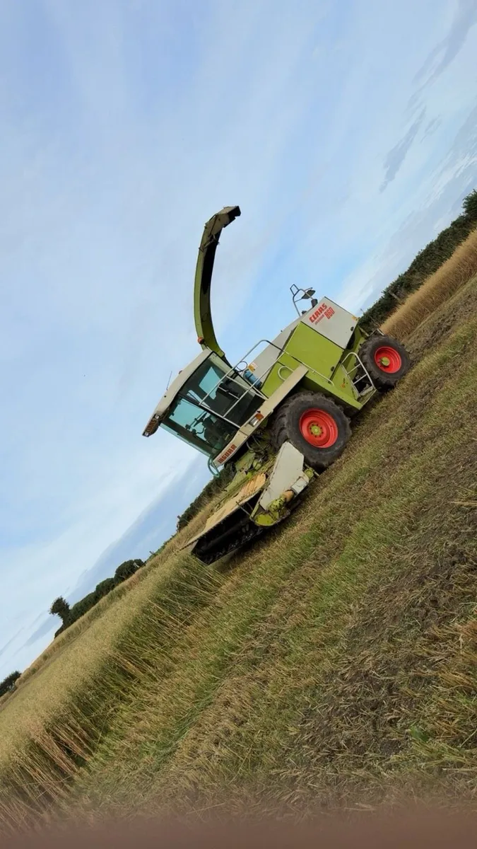 Claas jaguar 860 - Image 4