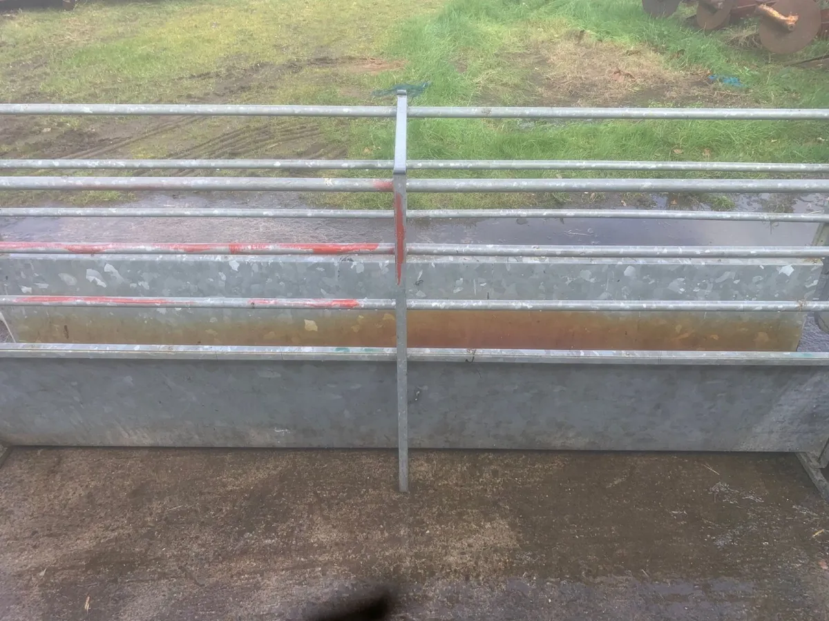 Sheep handling equipment - Image 4