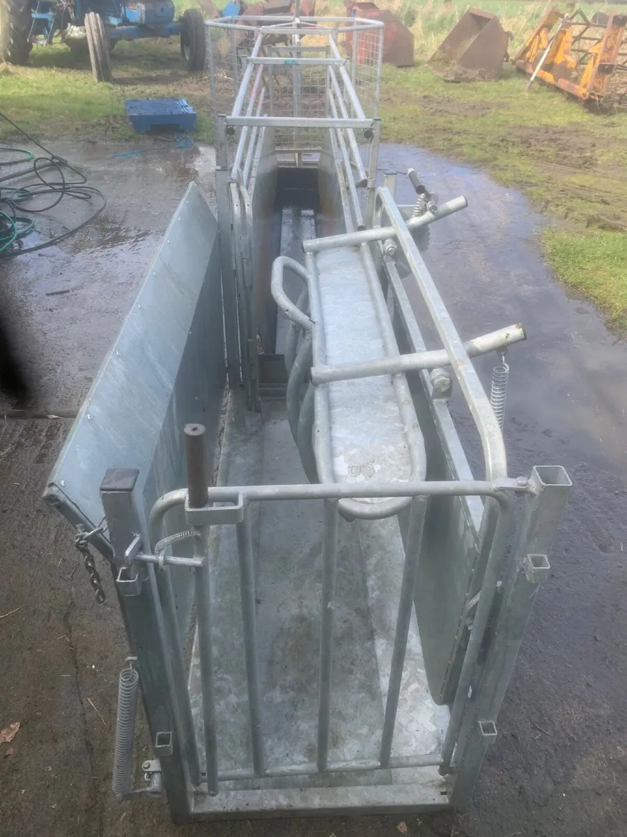 Sheep handling equipment - Image 1