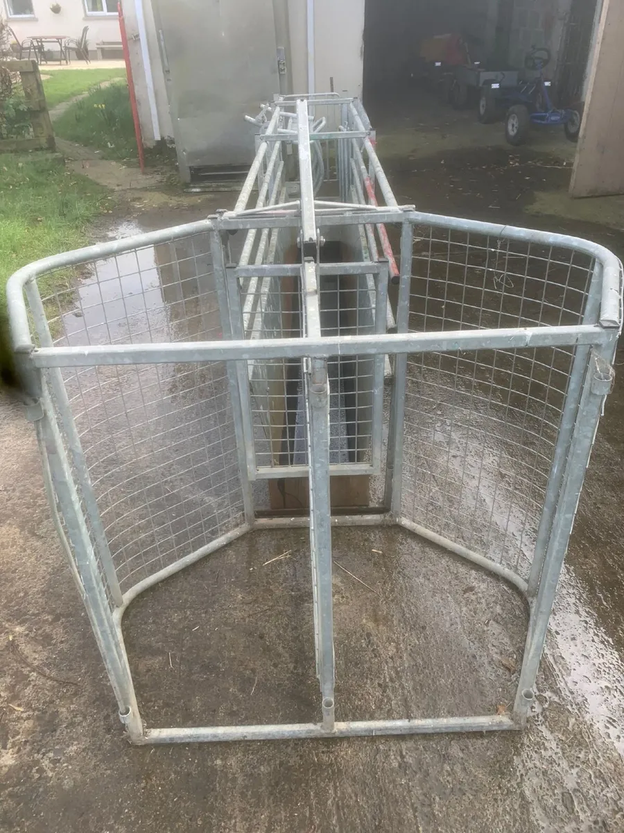 Sheep handling equipment - Image 2