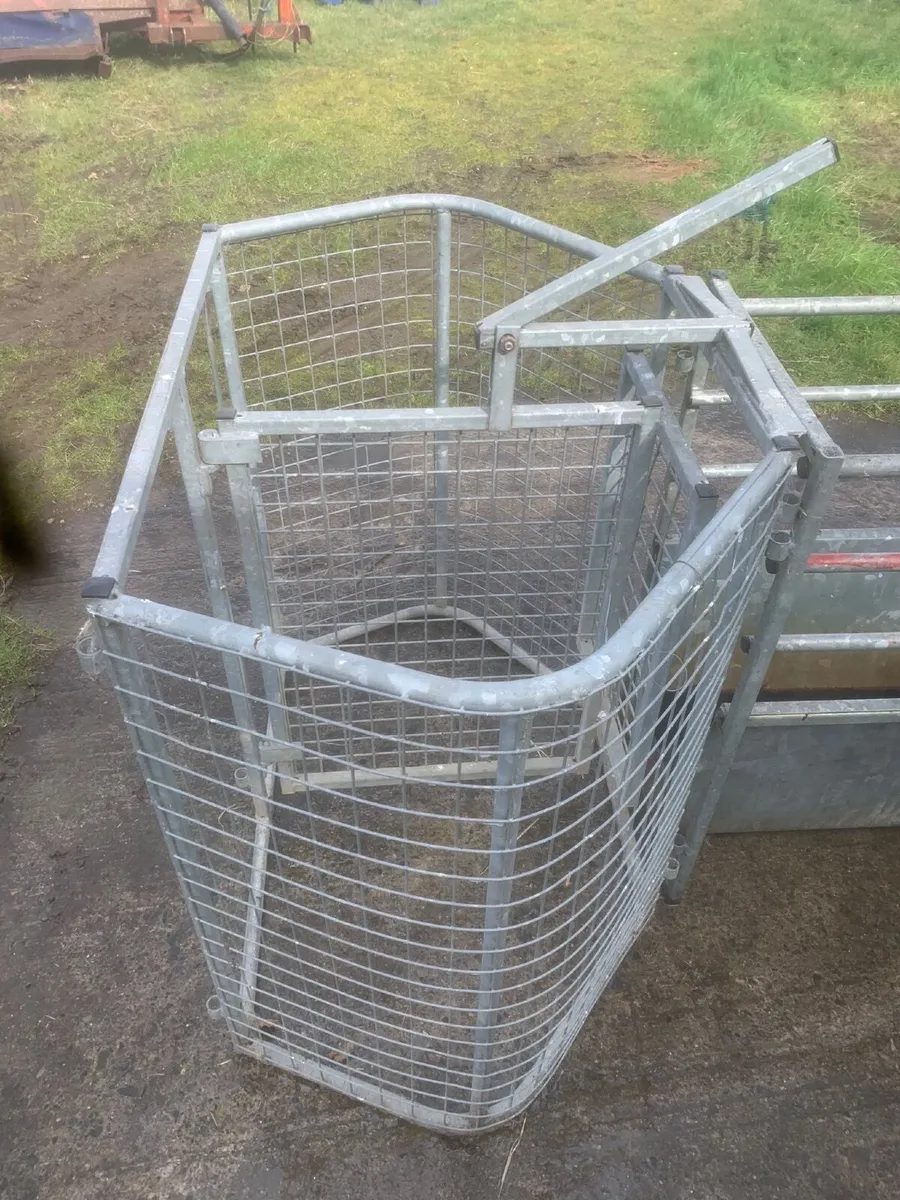 Sheep handling equipment - Image 3