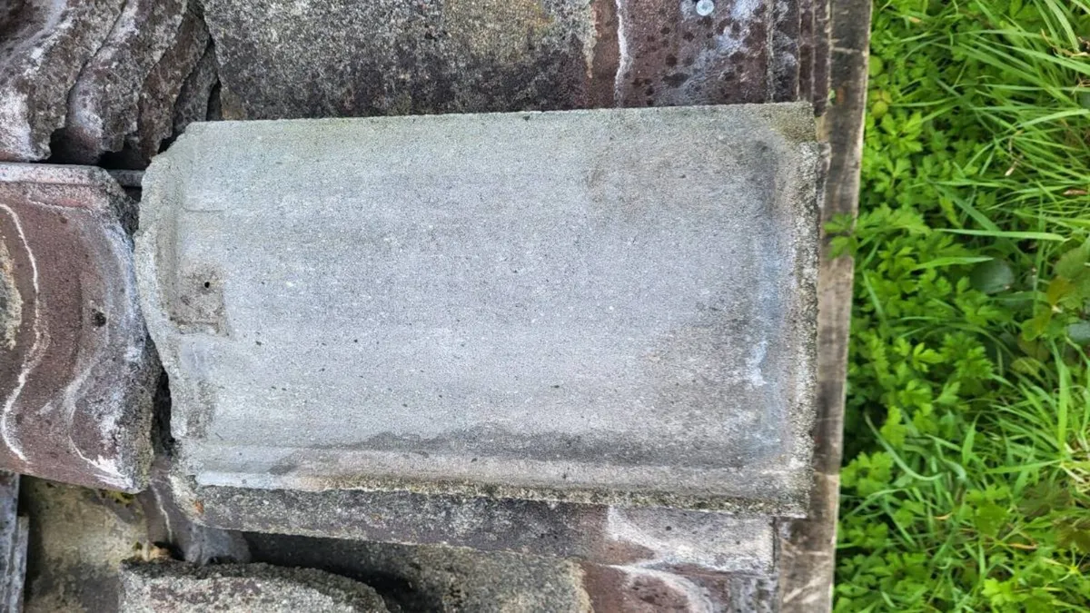 Roof Tiles - Image 3