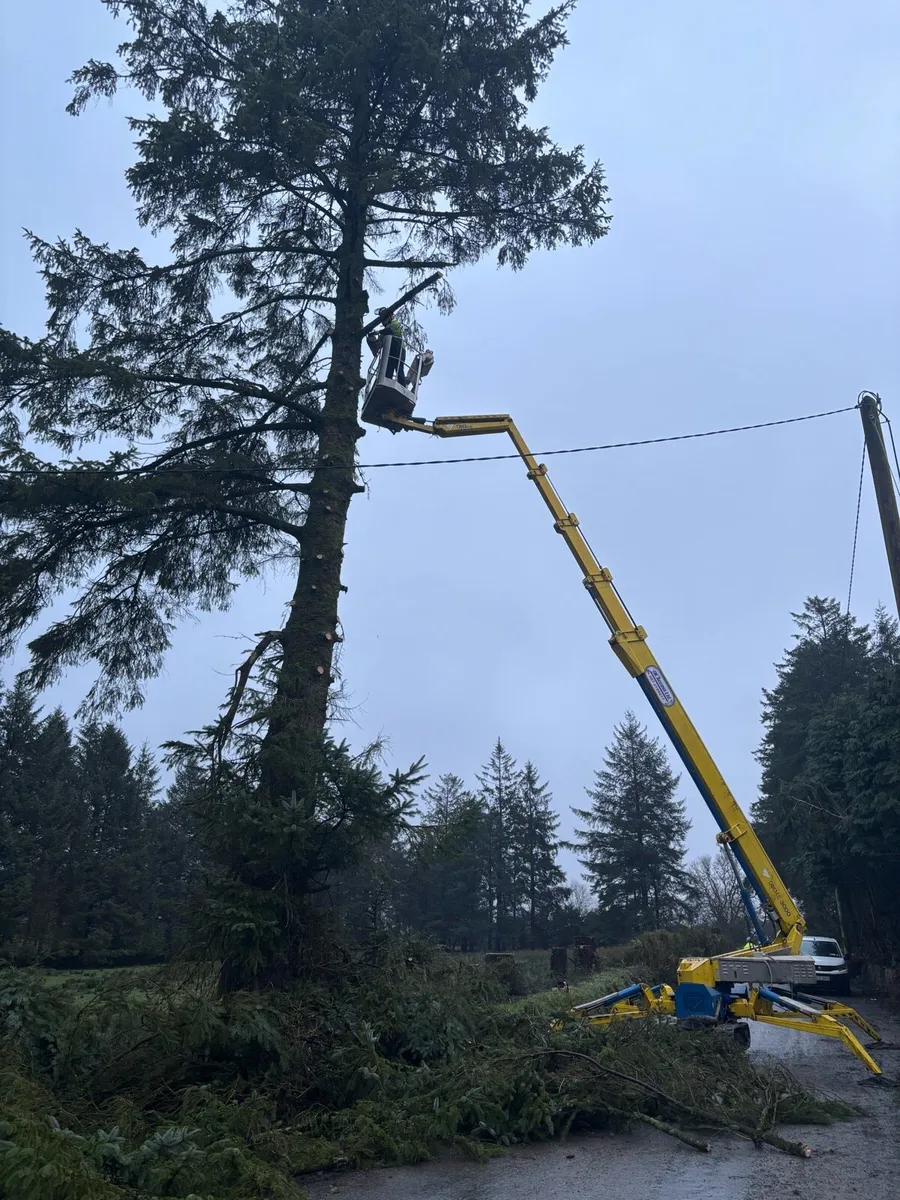 Track hiest( cherry picker) - Image 1