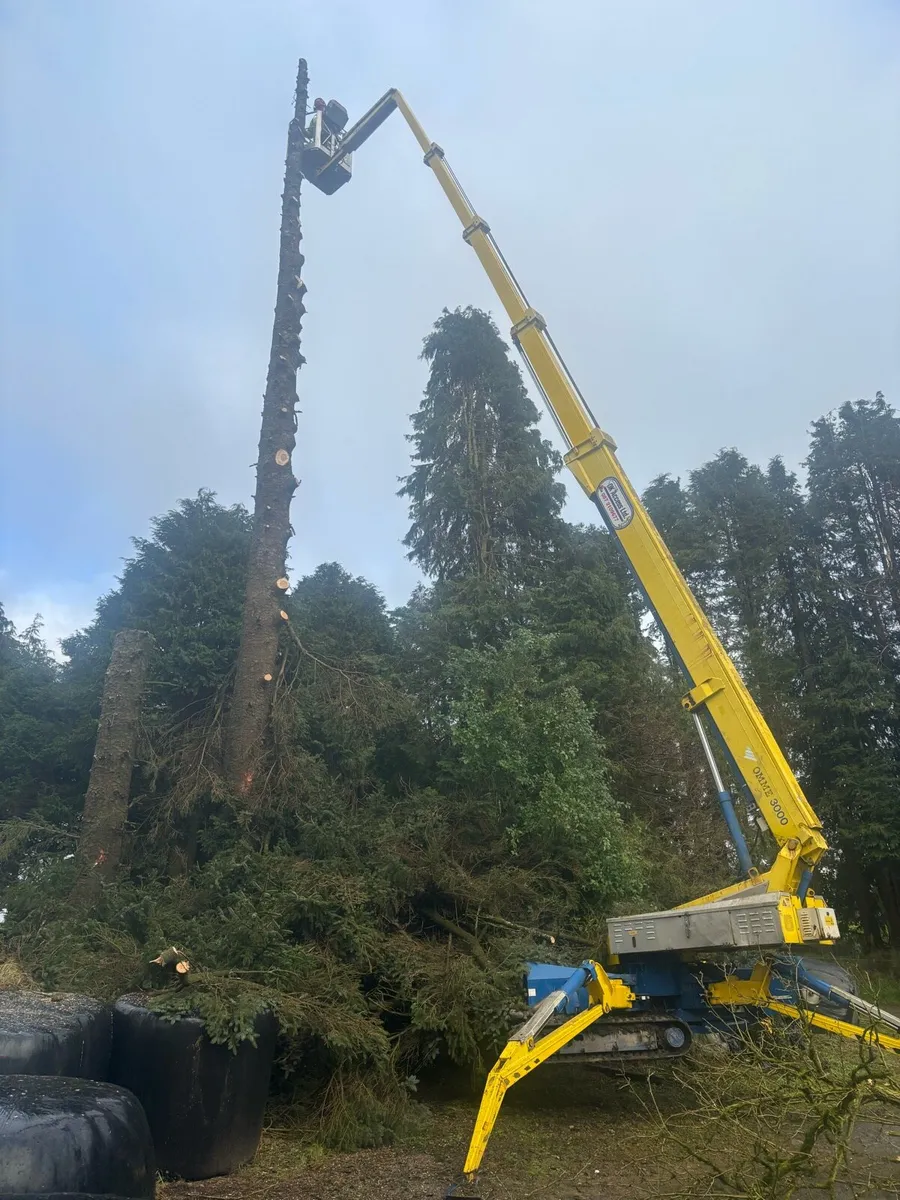 Track hiest( cherry picker) - Image 3