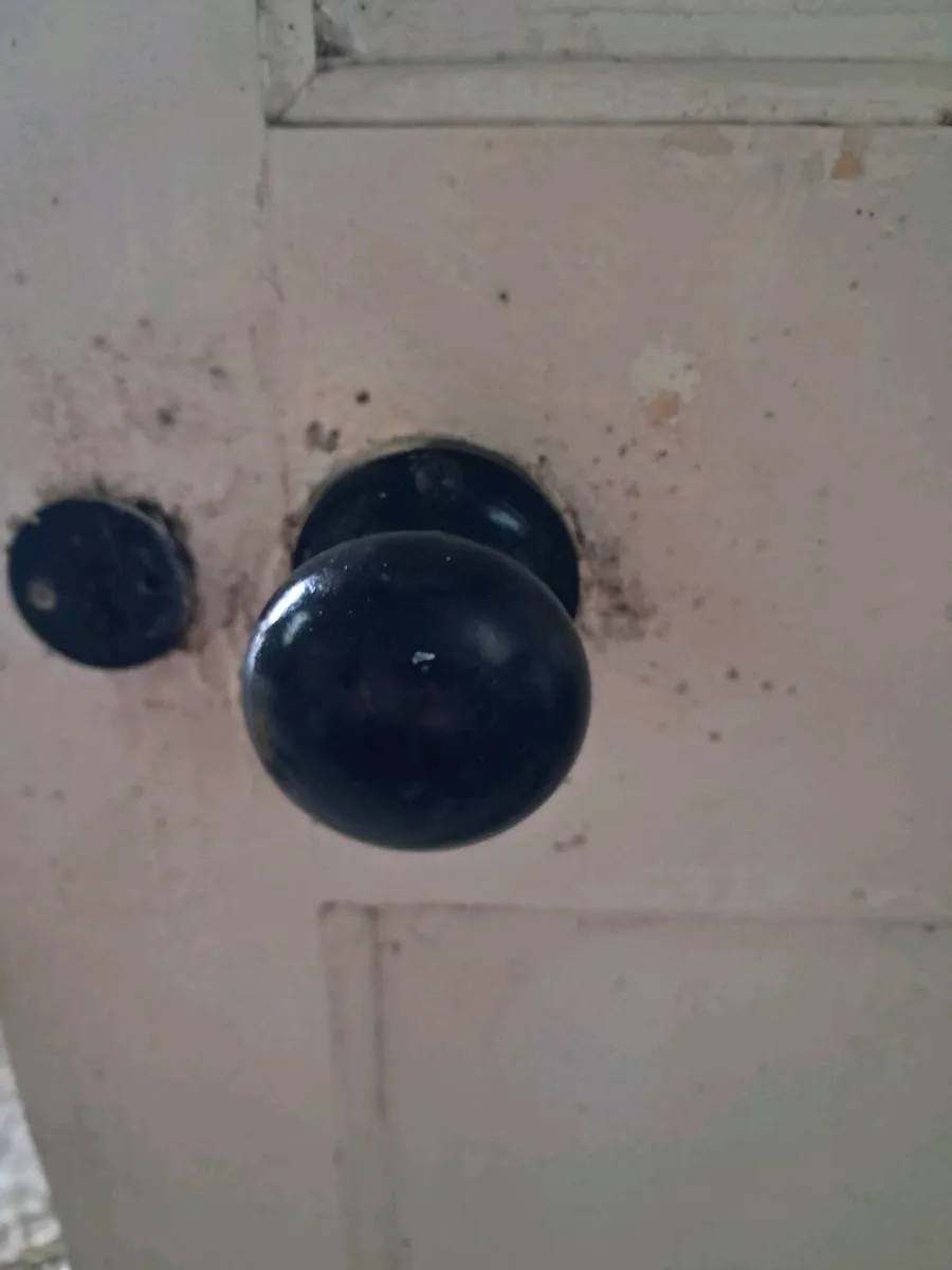 3 Vintage internal doors - Image 4