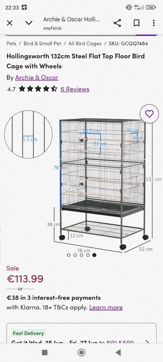 Regent parrots - Image 3