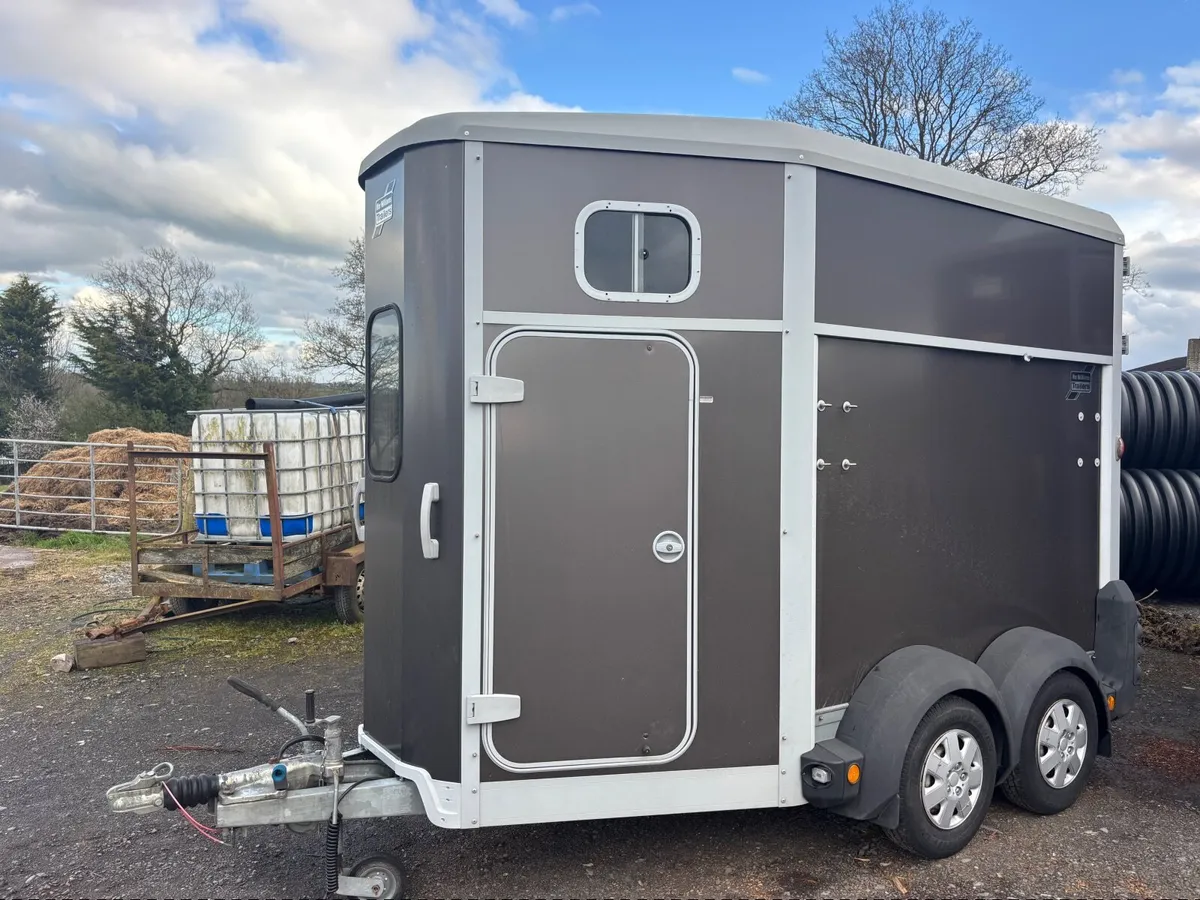 IFOR WILLIAMS HB506 BROWN - Image 3