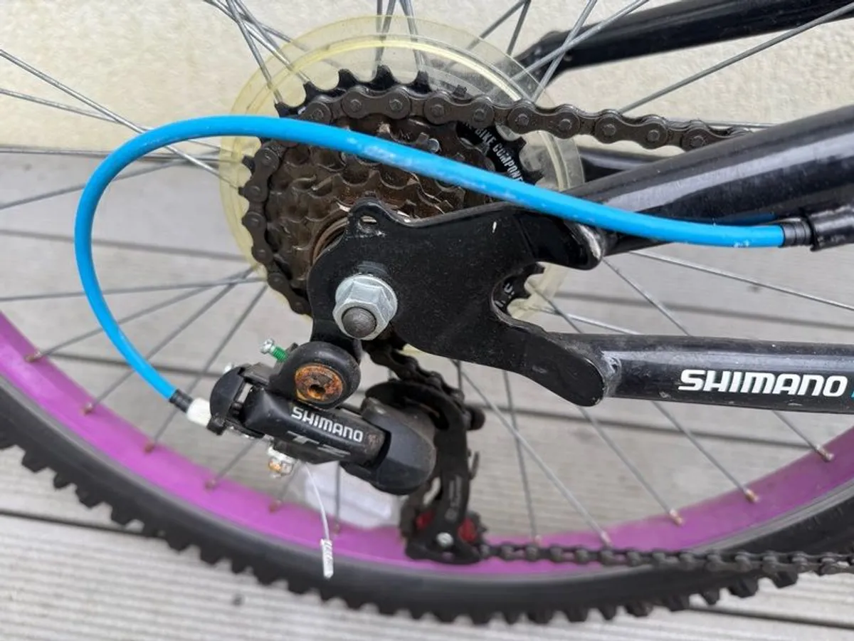 Apollo Craze - Image 2