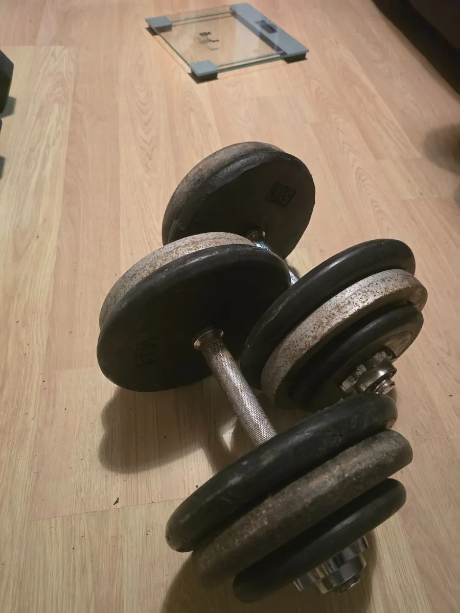 Dumbbells 2×23kg