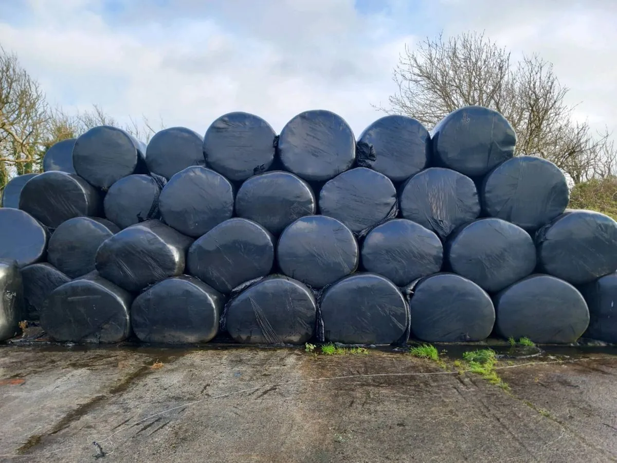 Silage Bales - Image 1
