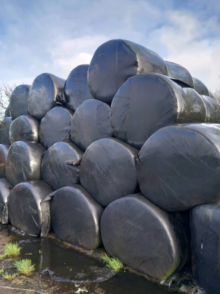 Silage Bales - Image 2