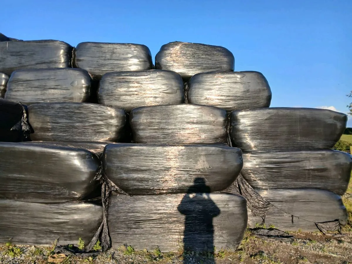 Square Silage Bales - Image 1