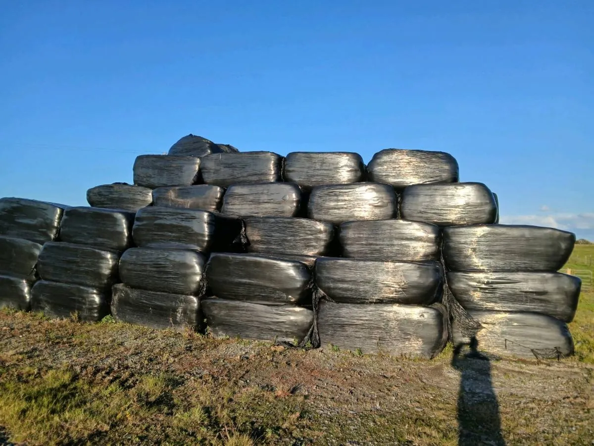 Square Silage Bales - Image 2