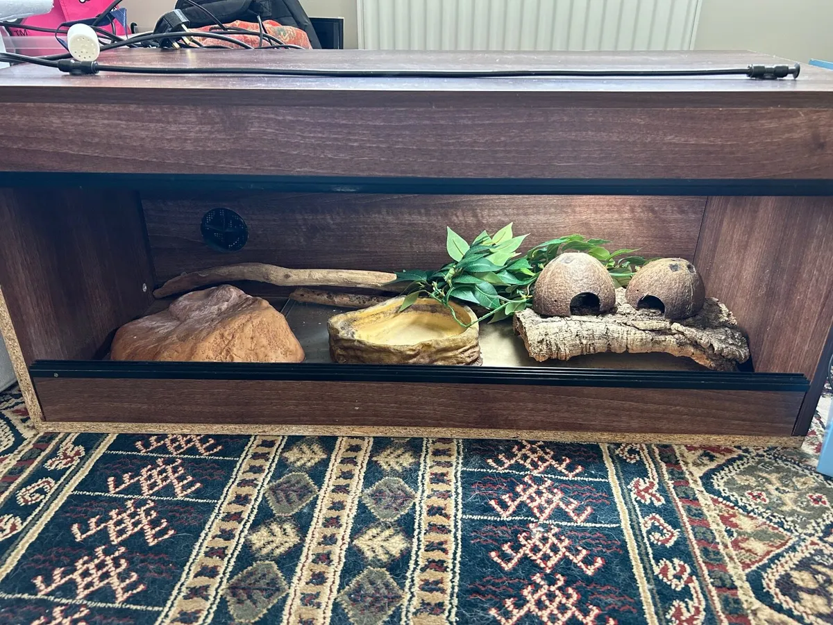 3ft wooden vivarium for reptiles - Image 1