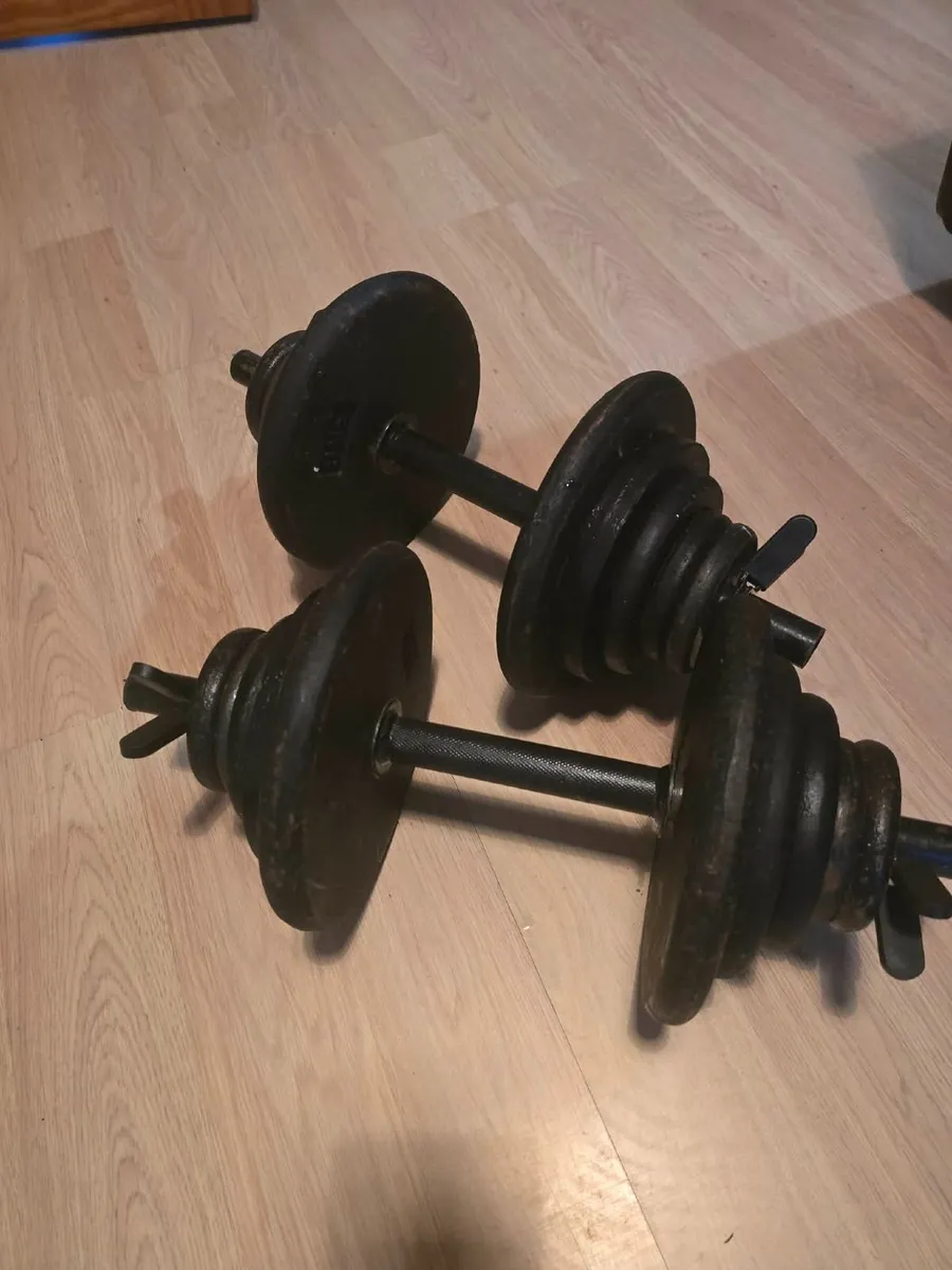 Dumbbells 2×19kg