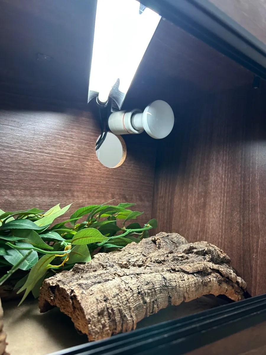 3ft wooden vivarium for reptiles - Image 2