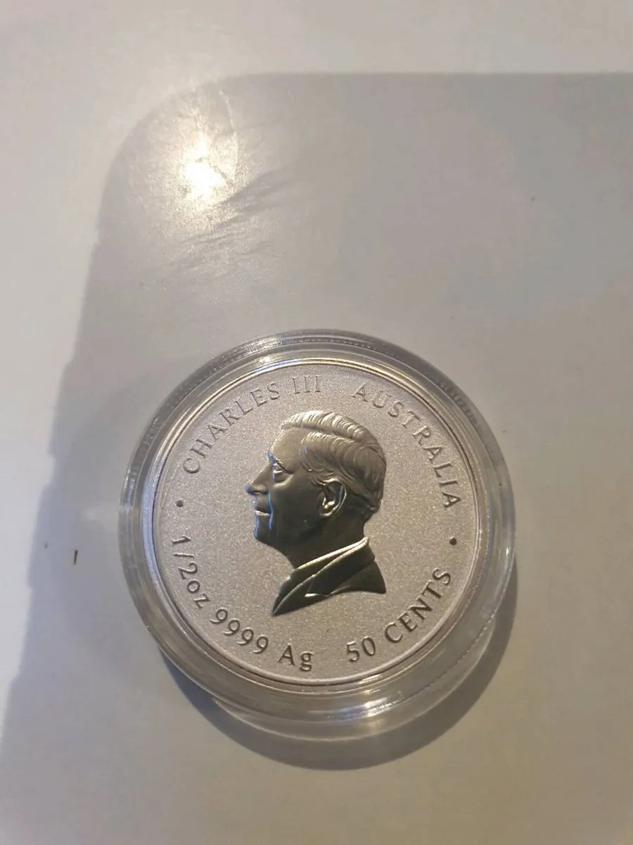 Year of the snake silver coin - Image 1