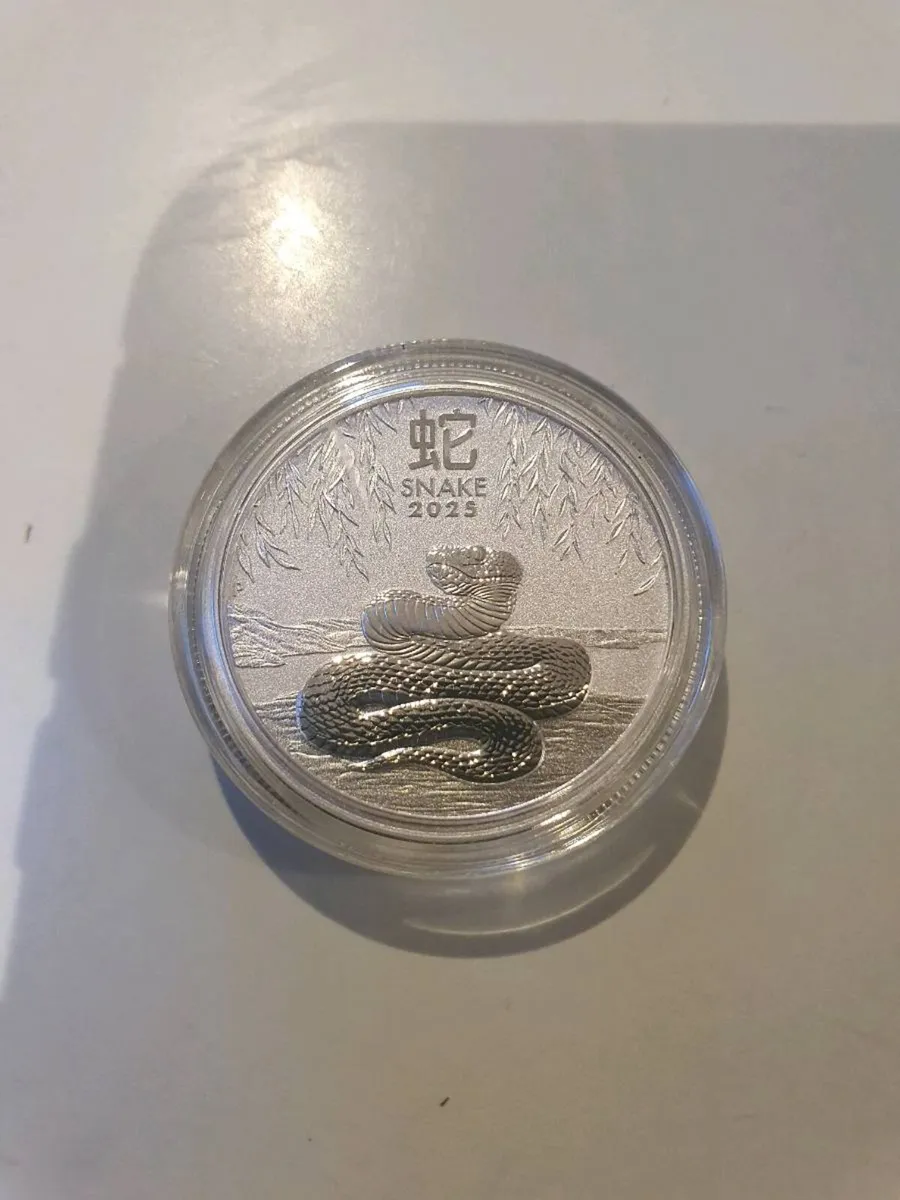 Year of the snake silver coin - Image 2