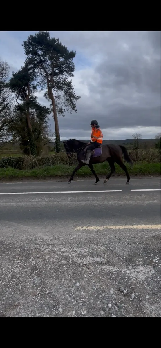 Clifden Sales April 2026 - Image 4