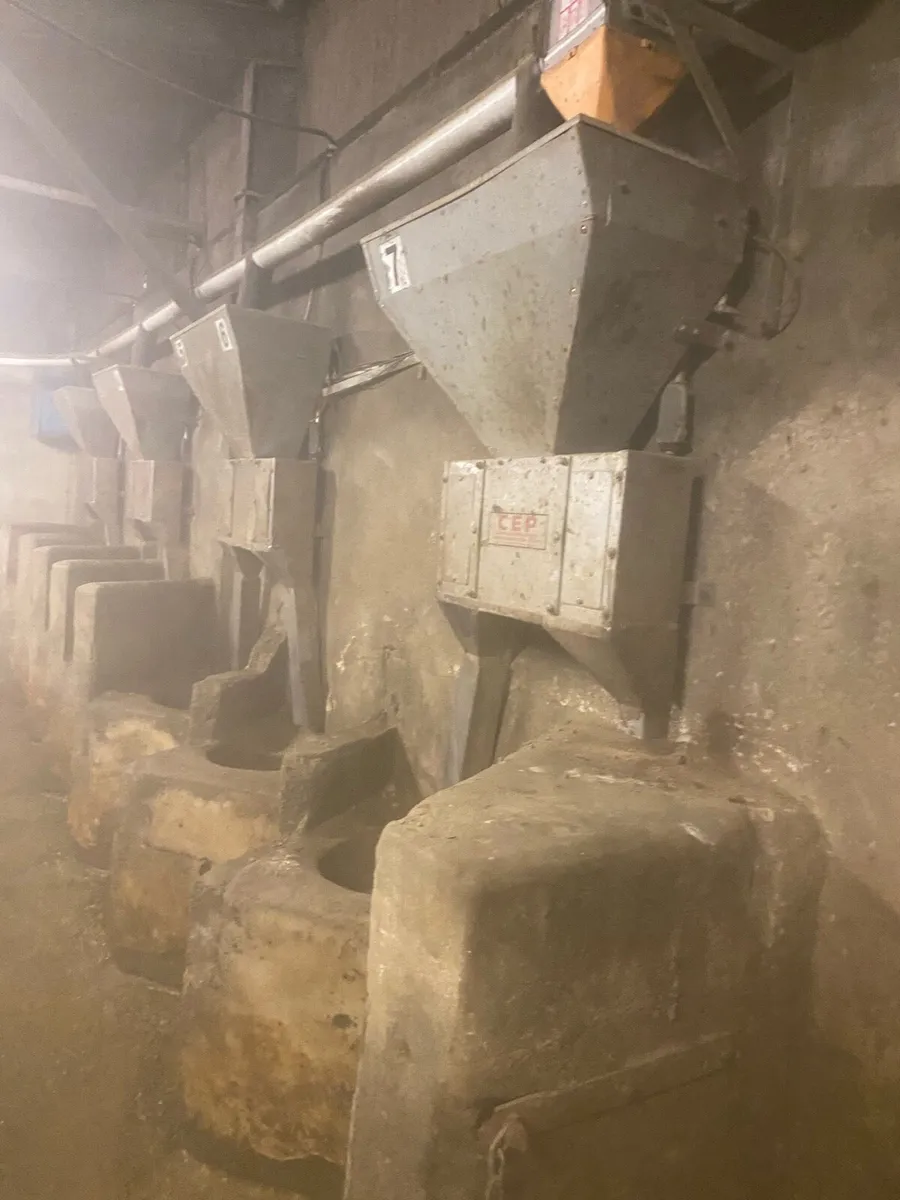 Milking Palour - Image 4