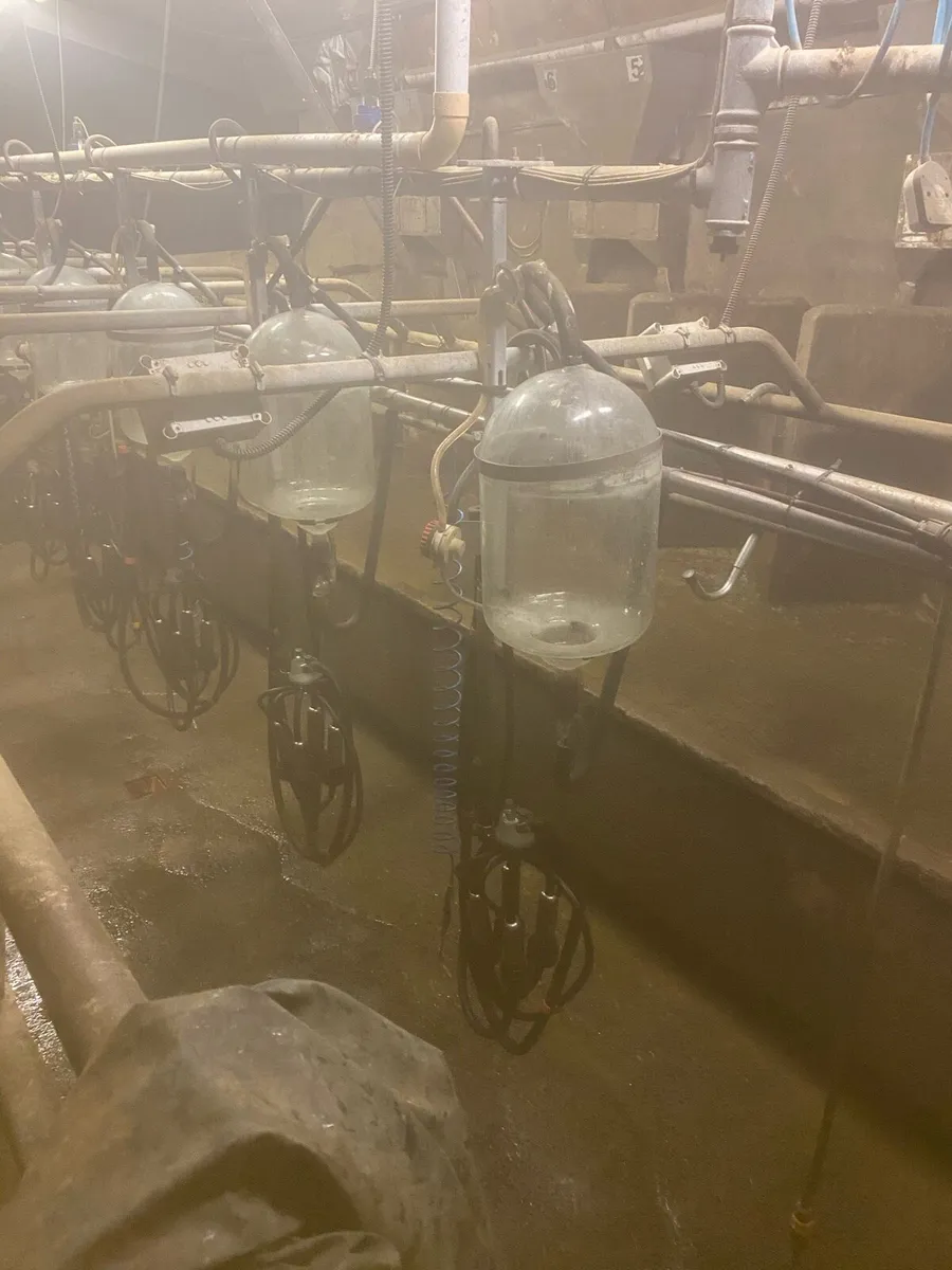 Milking Palour - Image 1