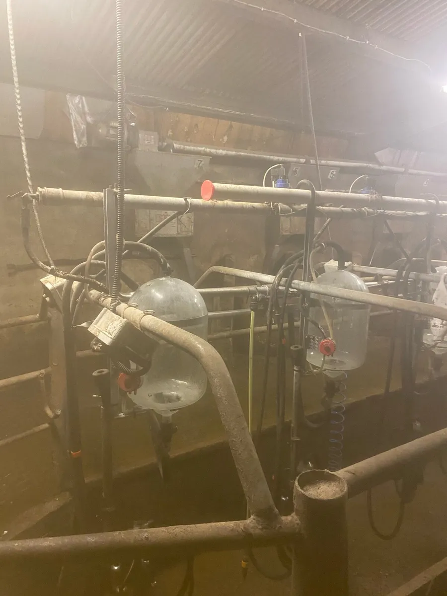 Milking Palour - Image 2