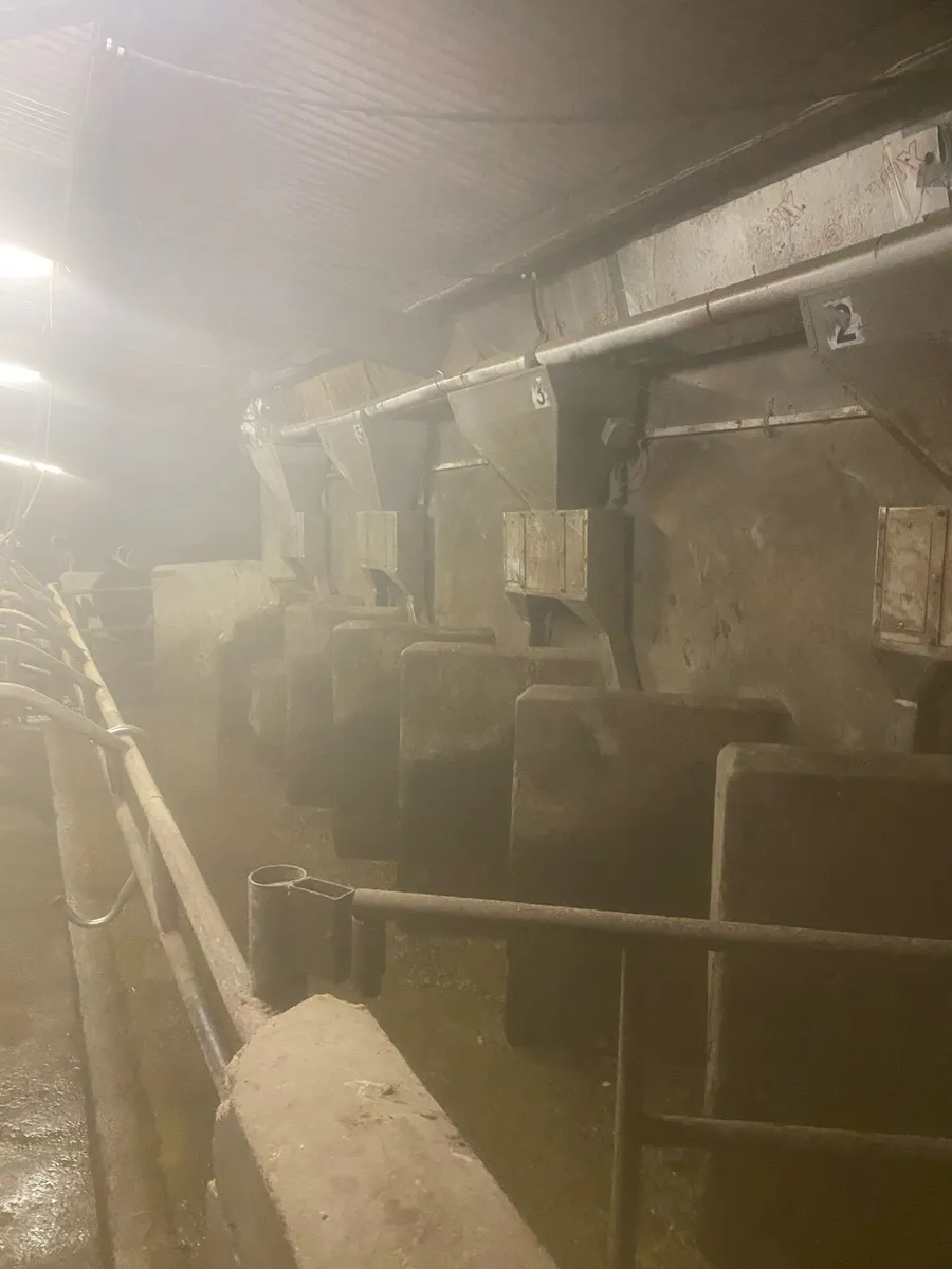 Milking Palour - Image 3