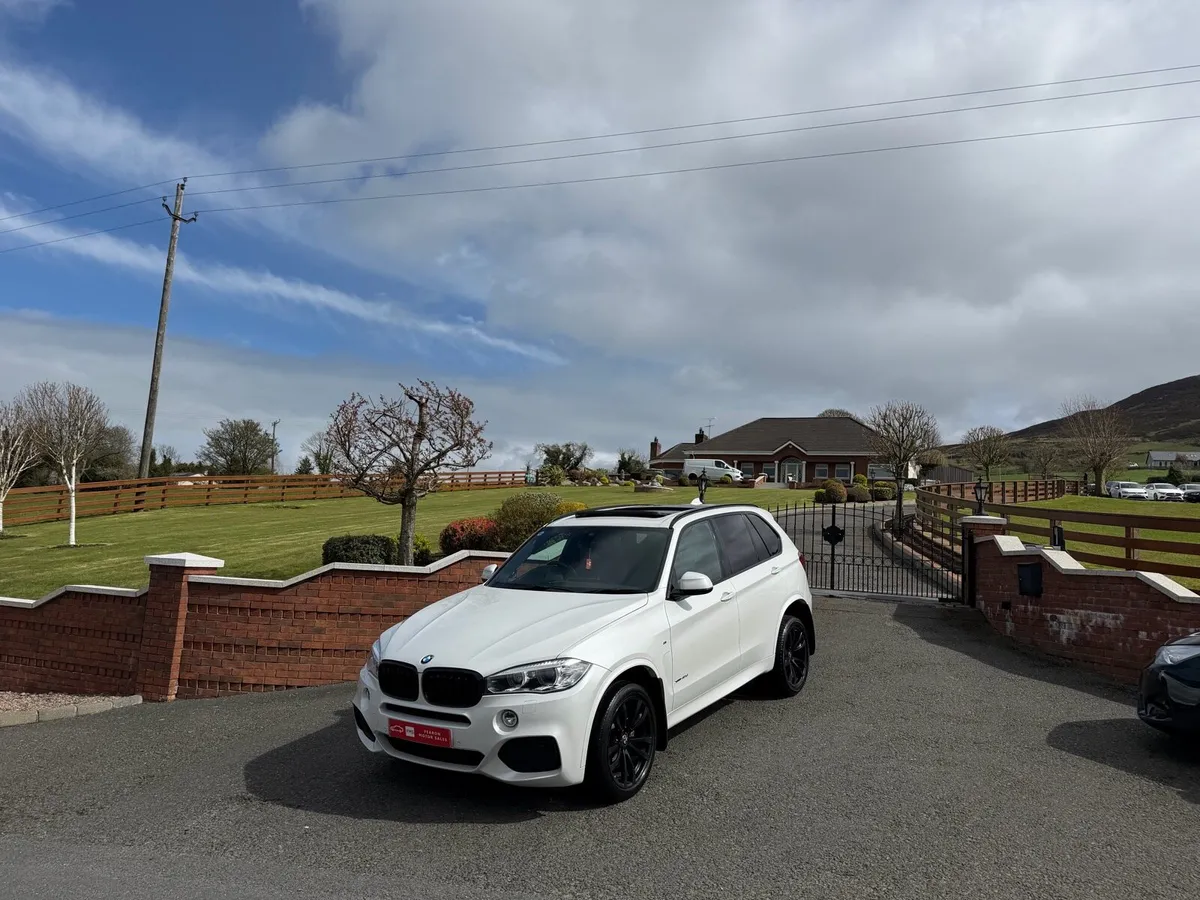 2017 BMW X5 - Image 1