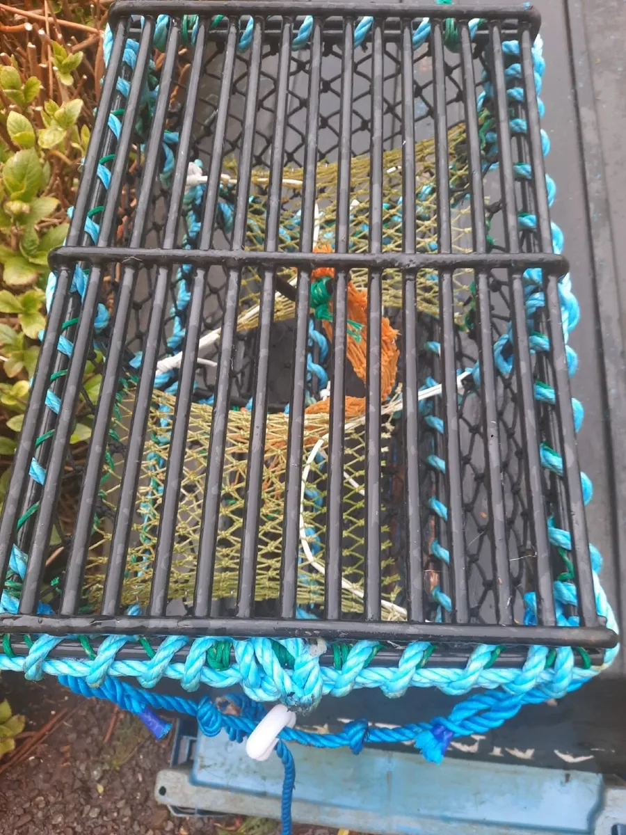 Lobster pots - Image 4
