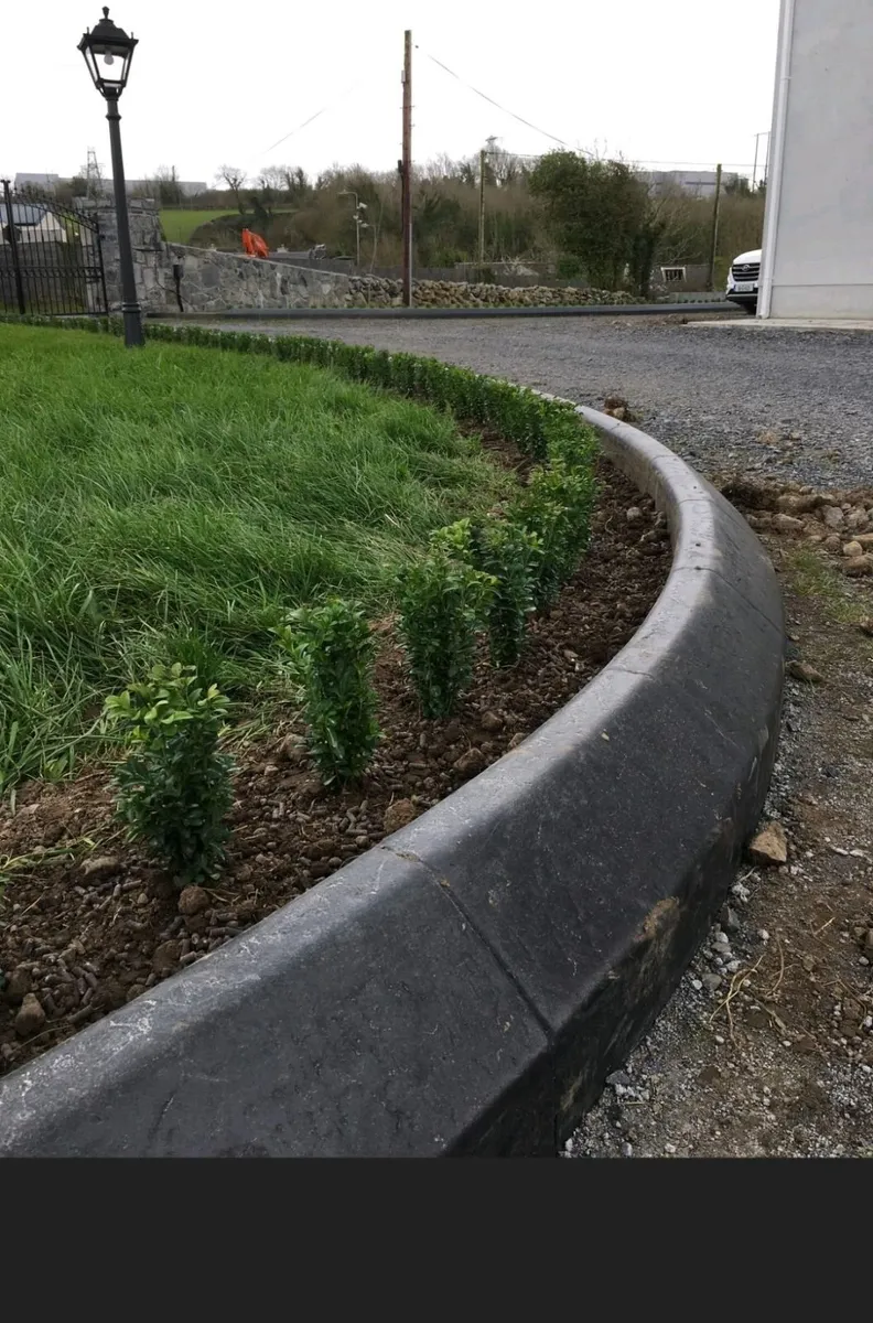 Box Hedging - Image 1