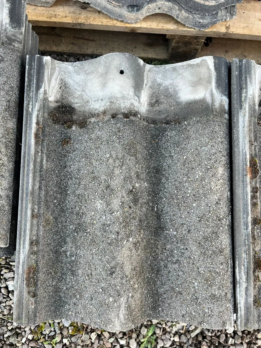 Roof Tiles - Image 3